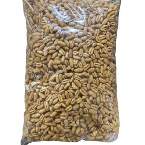 KUIH SIPUT BEREMPAH BY FENDI 5kg