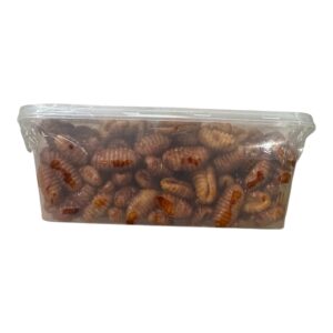 KUIH SIPUT SAMBAL BY SJ BAZAAR 500gram